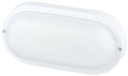 Светильник светодиодный ДПО-О1- 12-4К-WIN-IP65 ЖКХ овал TOKOV ELECTRIC TOK-O1-12-4K-WIN-IP65