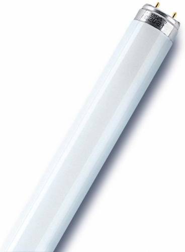 Лампа люминесцентная L 36W/640 36Вт T8 4000К G13 смол. OSRAM 4008321959713